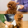 Secador 2 em 1 Elétrico Removedor de Pelos Para Pets - Imagem 3