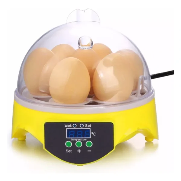 Mini Incubadora Chocadeira Elétrica 7 Ovos Automática